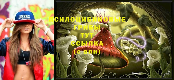 MDMA Козловка