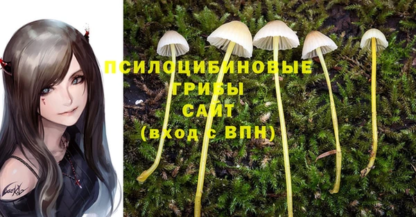 мескалин Киреевск